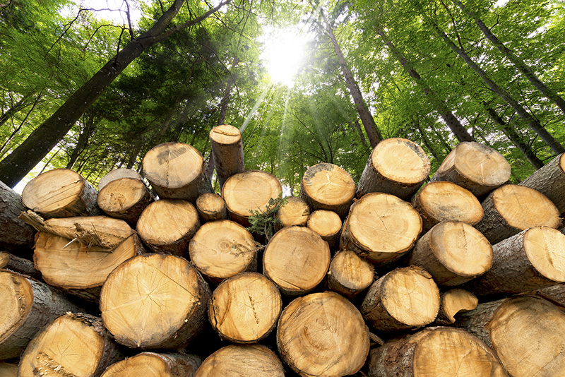 Baugewerbe hinterfragt einseitige Bevorzugung des Baustoffs Holz
