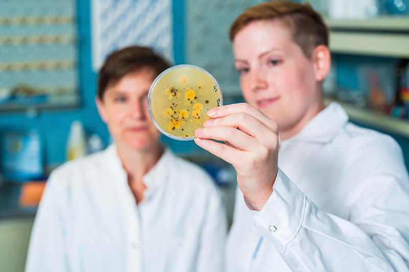 Tulln an der Donau, Austria - July 10, 2023: Ensemo / Unternehmensfotos inkl. Portraits. Feld, Gewächshaus, Labor, Schlosserei. ENSEMO GmbH - Innovative Agricultural Technologies / Frauentorgasse 72-74, 3430 Tulln an der Donau Photo: Matt Observe.