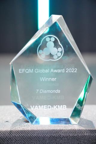 VAMED-KMB: Unser Weg zum EFQM Global Award
