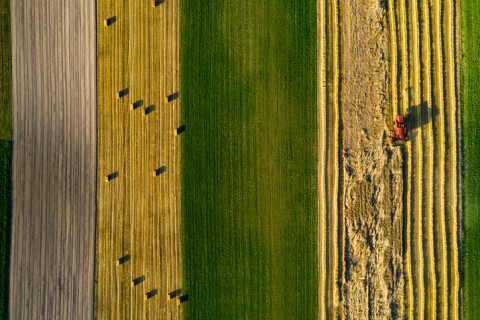 AWS Pioneers Project: xFarm nutzt KI zum Schutz der Ernte