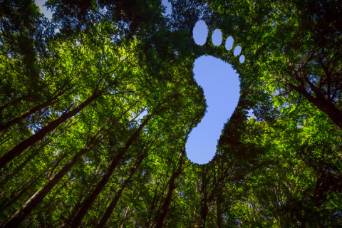 Wettbewerbsvorteil durch Klimakompetenz