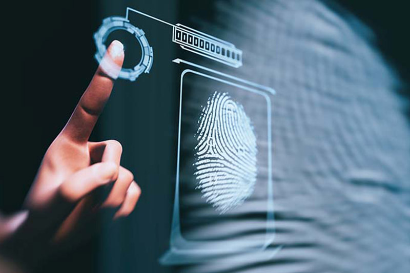 Weiblicher Fingerprint in der IKT