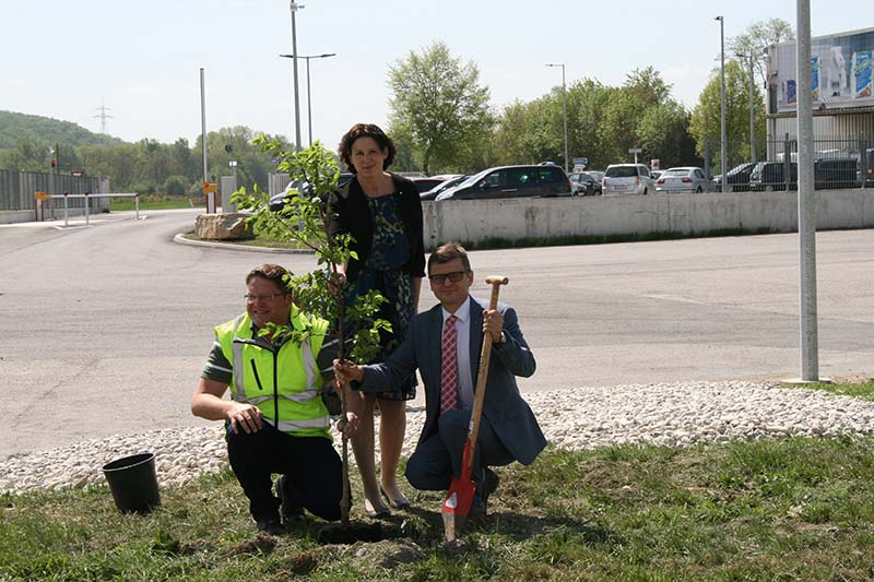 Foto: Geschäftsführer Andreas Wolf (r.), Betriebsleiter Gerd Feiertag und Marketingleiterin Romana Ramssl bei der symbolischen Baumpflanzung. 