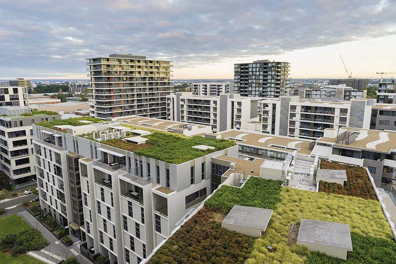 Foto: Begrünte Umkehrdächer speichern große Mengen an Kohlendioxid und verbessern das Stadtklima.
